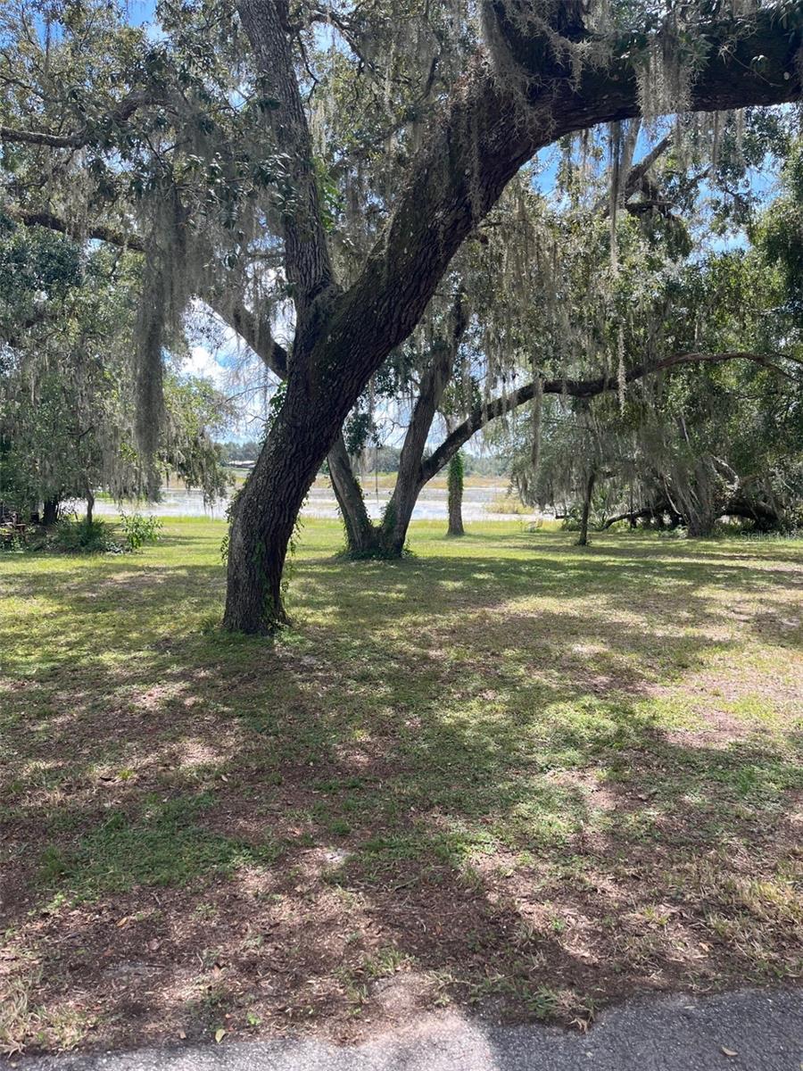 Image 5 of 6 For Shorewood Drive