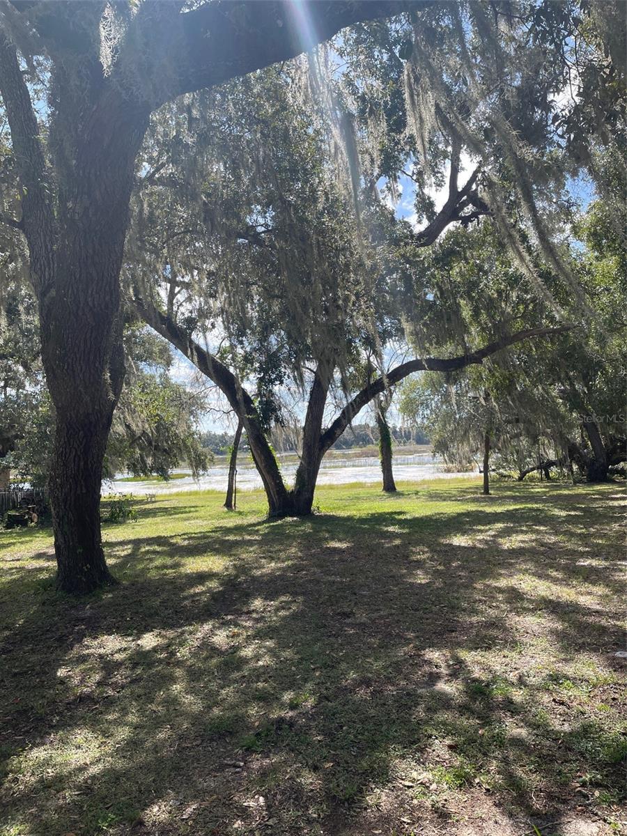 Image 6 of 6 For Shorewood Drive