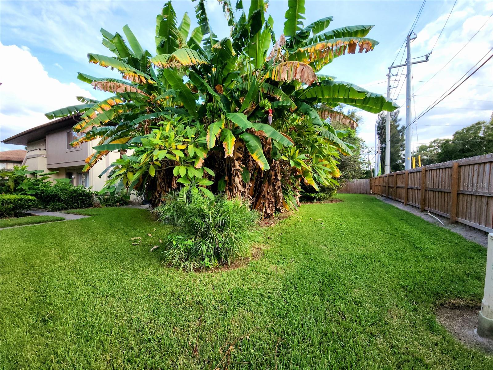 Image 51 of 52 For 1881 Lichen Lane B