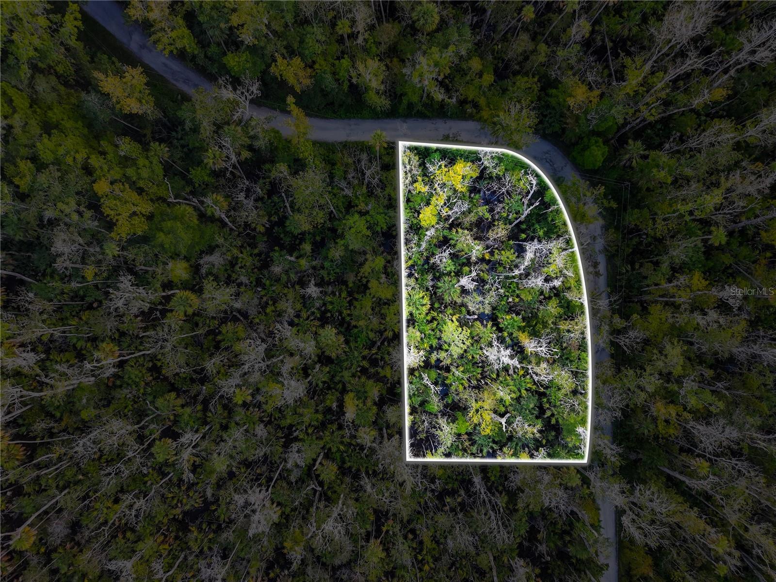 Details for 4441 Lewoods Drive, HOMOSASSA, FL 34448