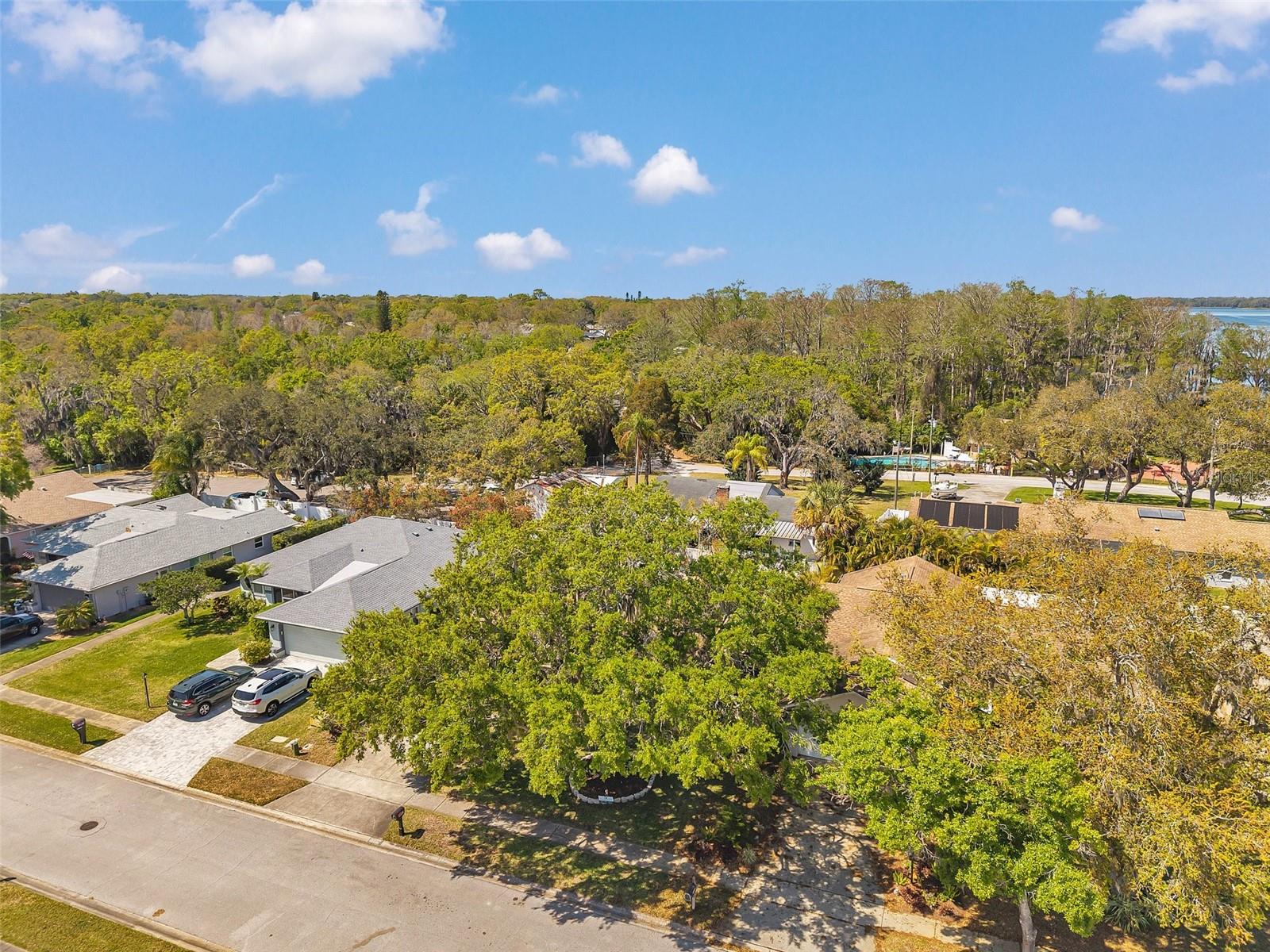 Image 80 of 88 For 3957 Tarpon Pointe Circle