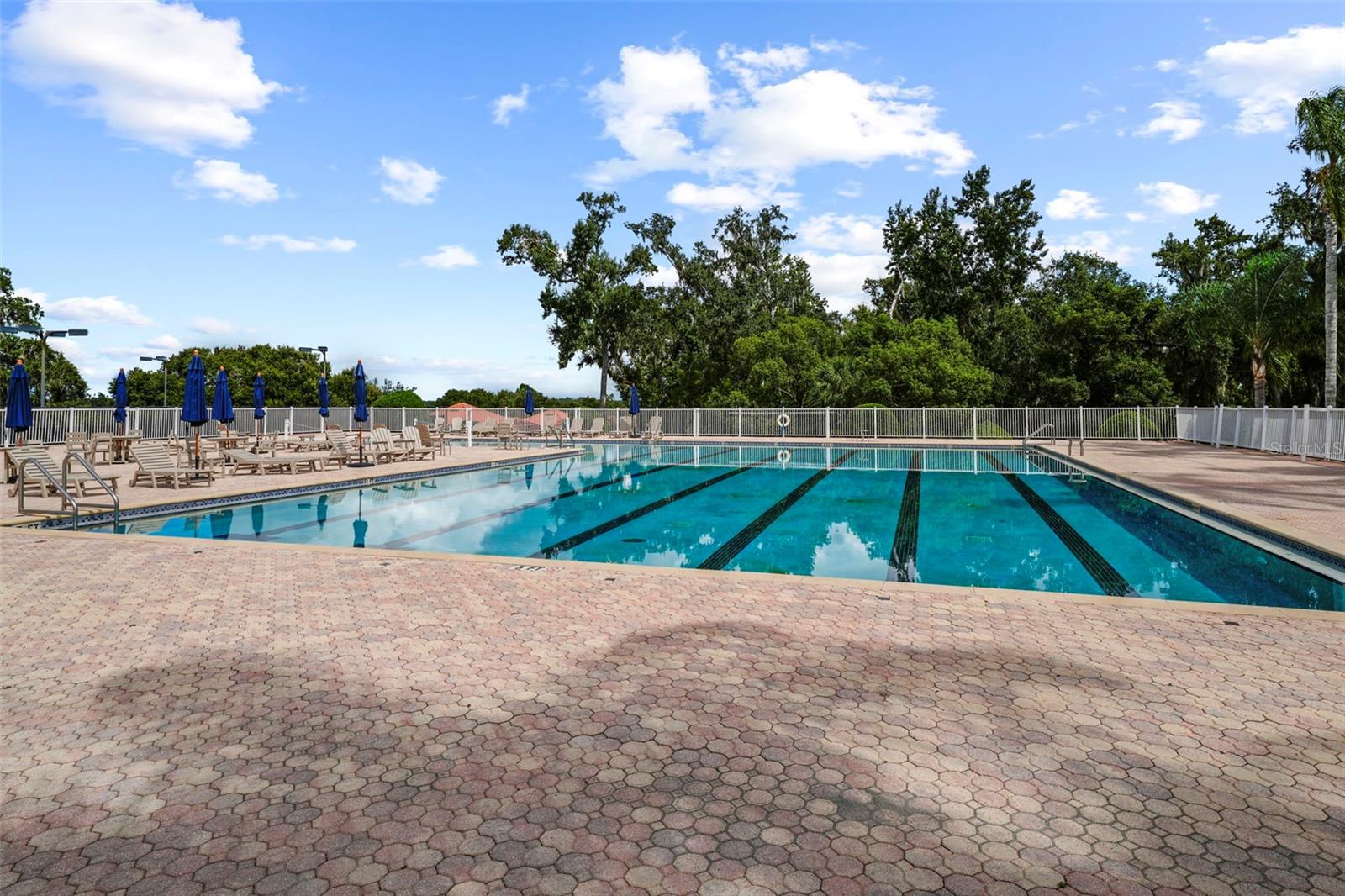 Image 75 of 100 For 12648 Lake Jovita Boulevard