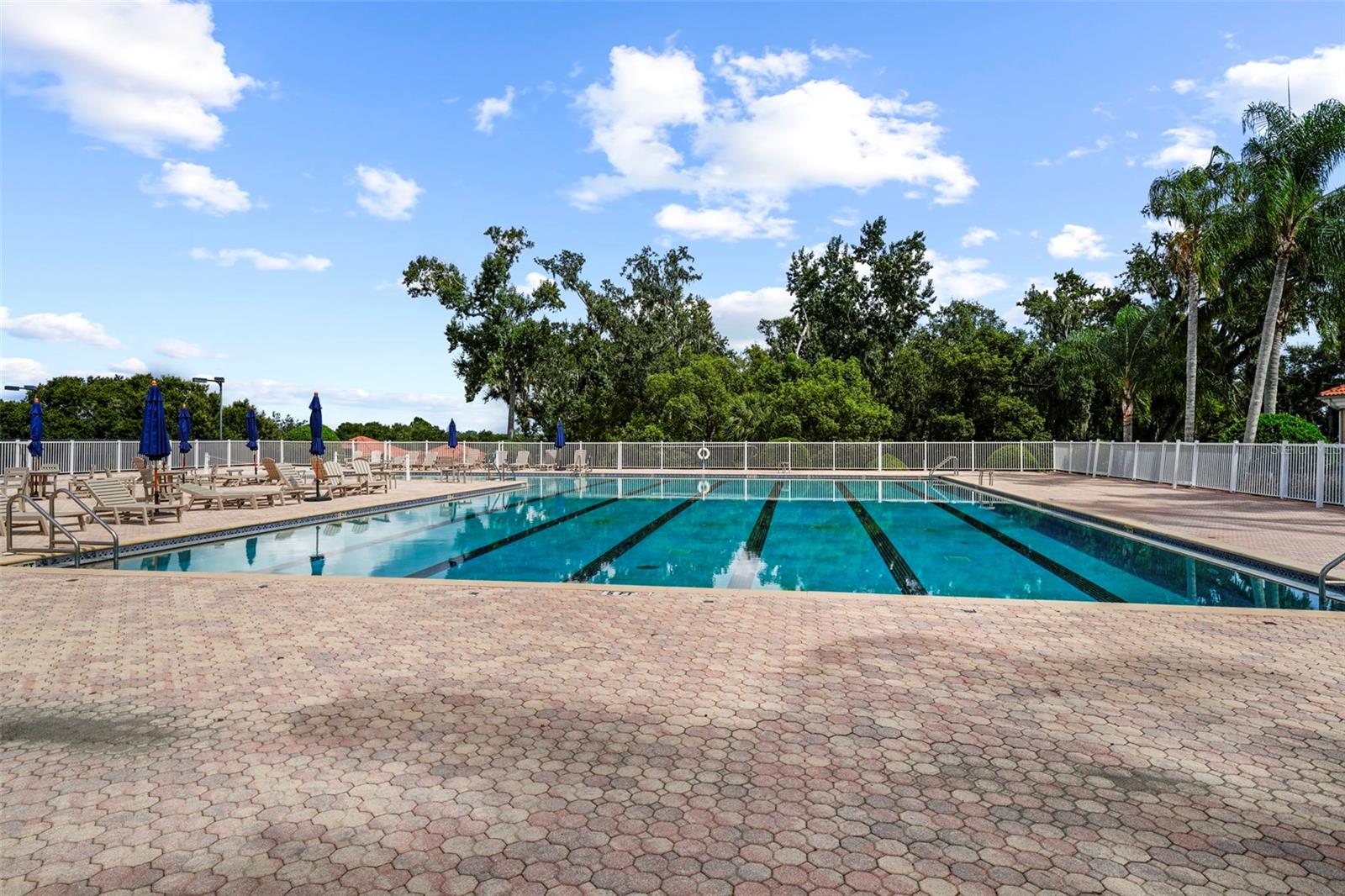 Image 76 of 100 For 12648 Lake Jovita Boulevard