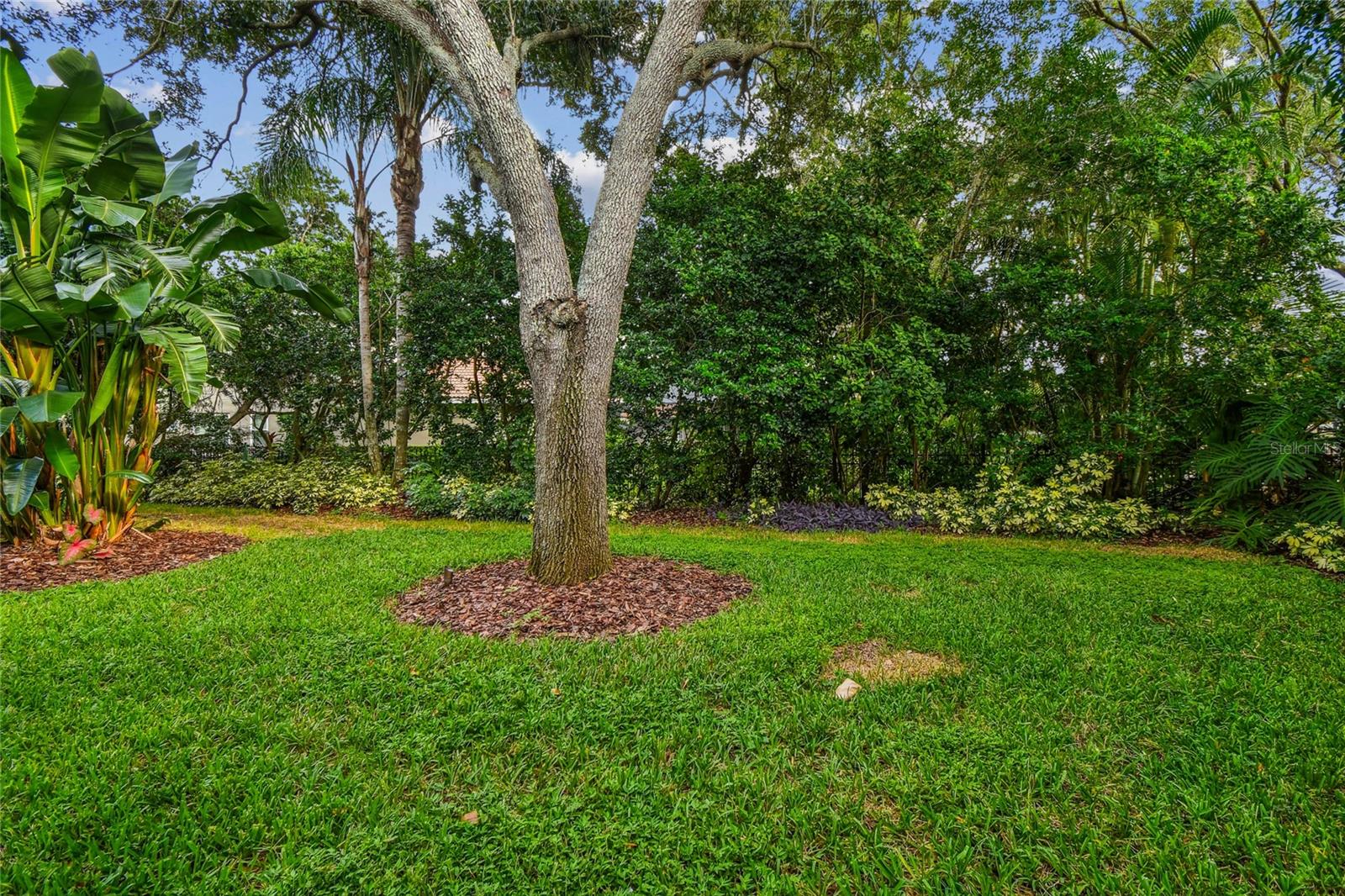 Image 90 of 100 For 1925 Floresta View Drive