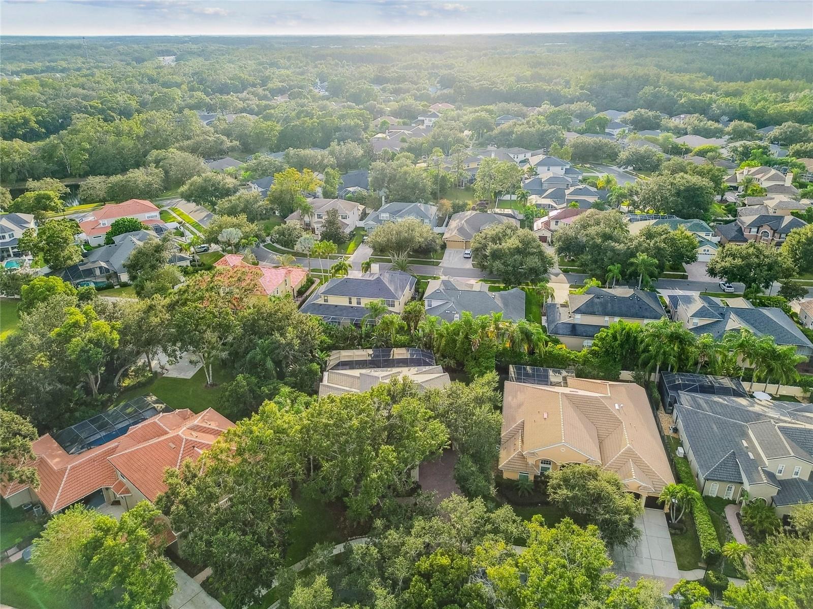 Image 98 of 100 For 1925 Floresta View Drive