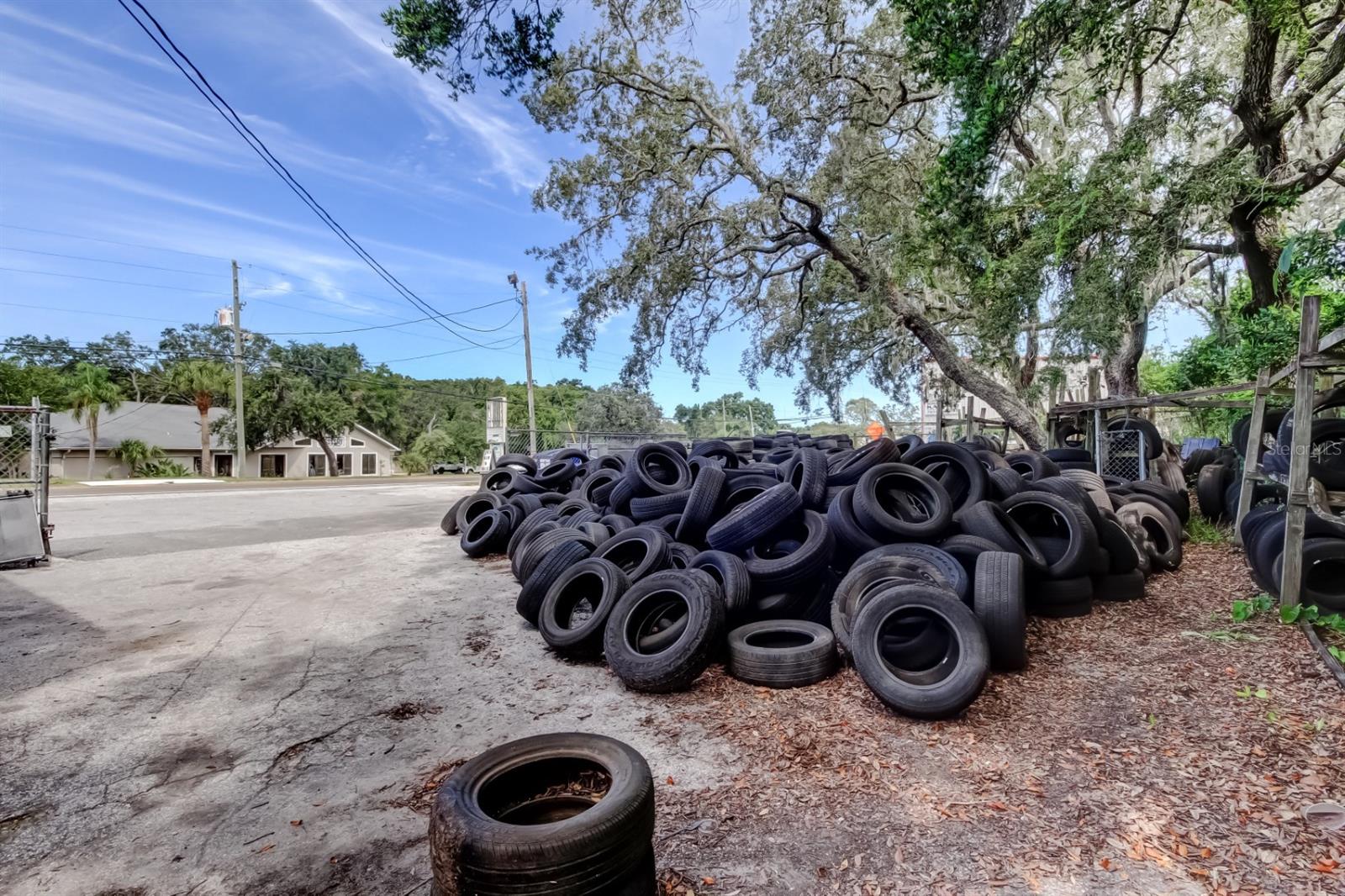 Image 11 of 53 For 1941 Pinellas Avenue