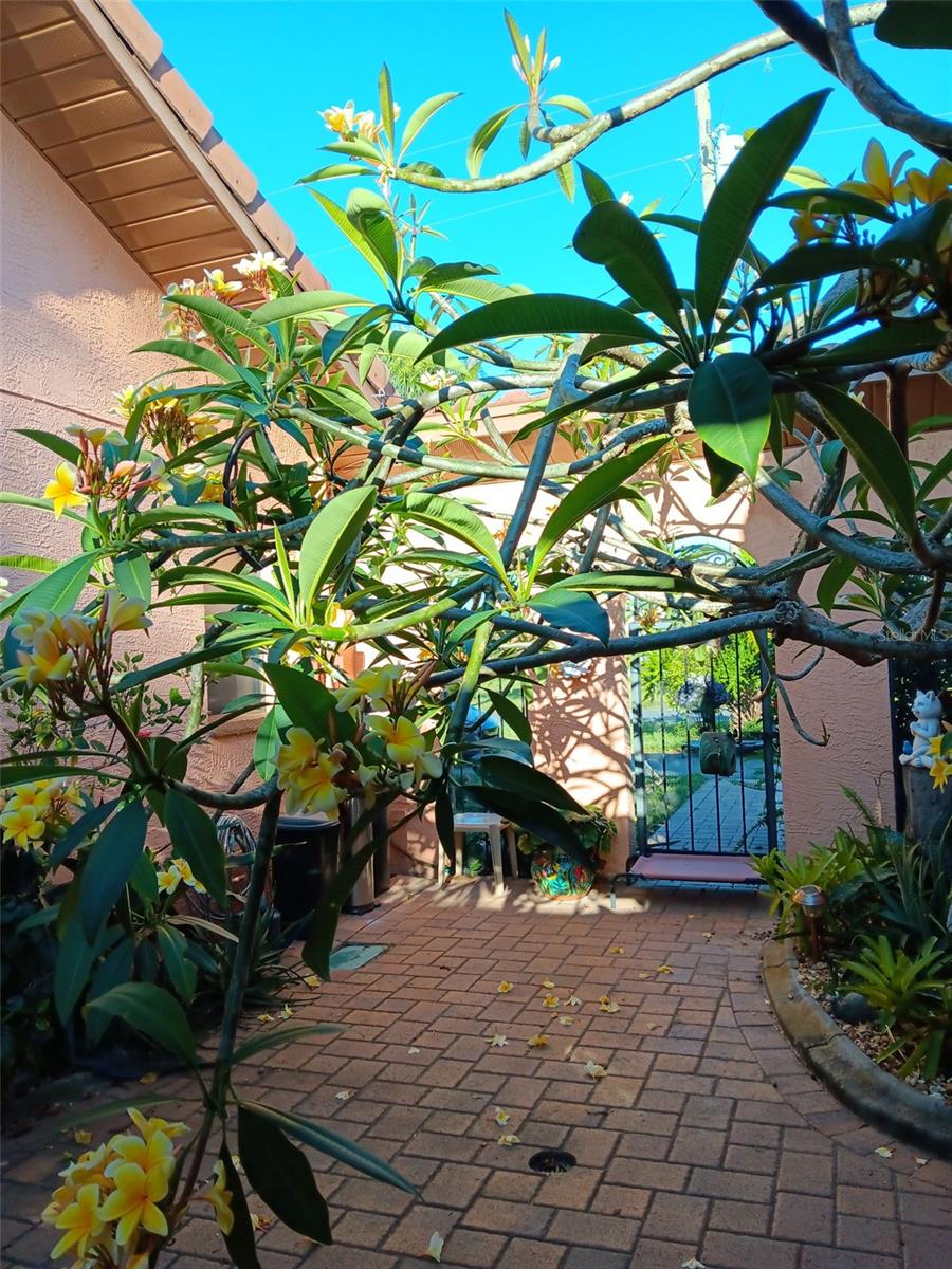 Image 93 of 99 For 3364 Oleander Drive