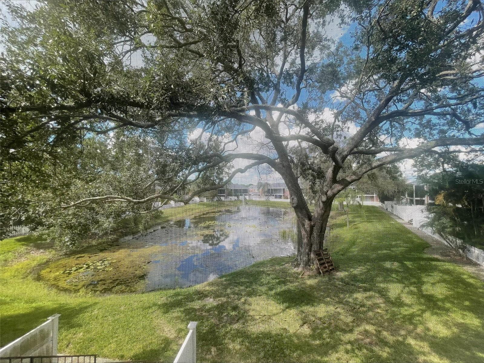 Image 19 of 20 For 13831 Orange Sunset Drive 201