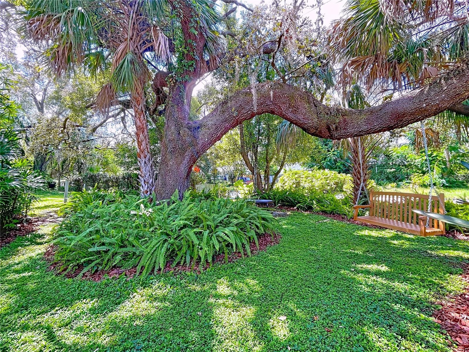 Image 78 of 85 For 12040 Riverhills Drive