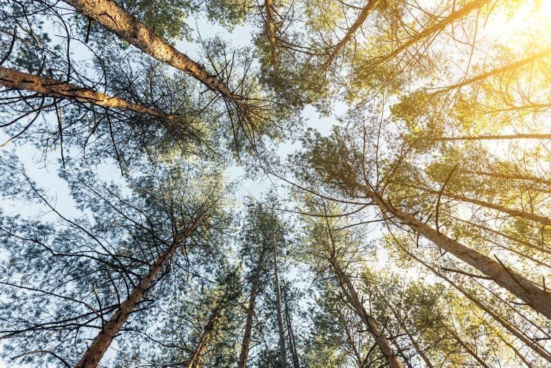 Image 3 of 3 For 4631 Karen Avenue N