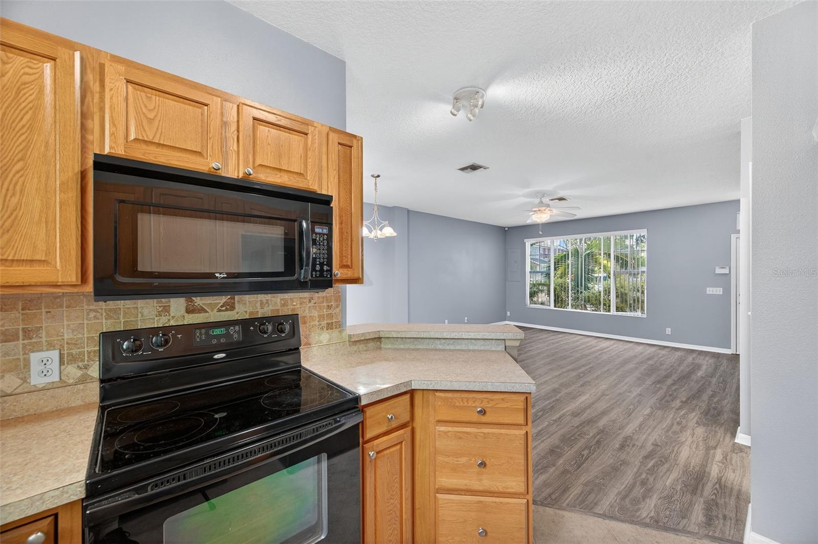 Image 3 of 38 For 13777 Forest Lake Drive
