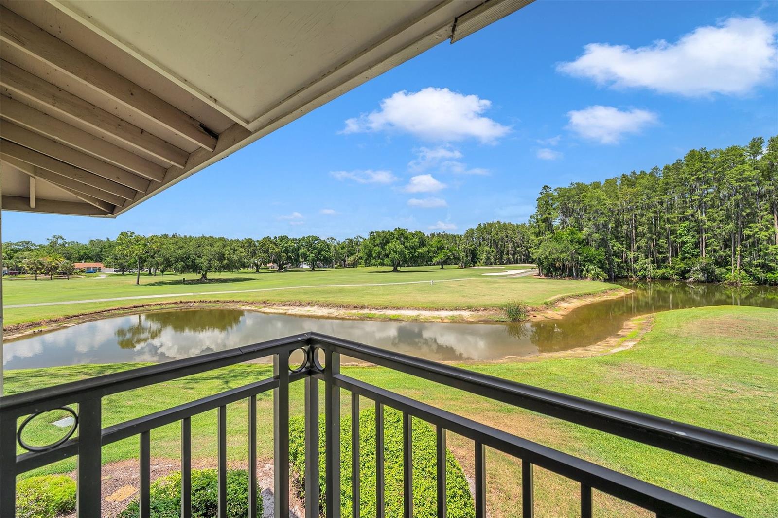 Image 29 of 89 For 29147 Bay Hollow Drive 3224