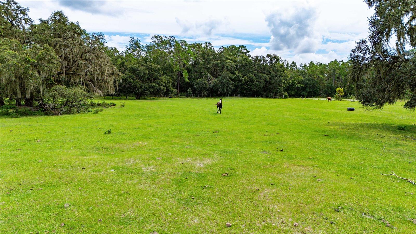 Details for Pinkston Road, DADE CITY, FL 33523