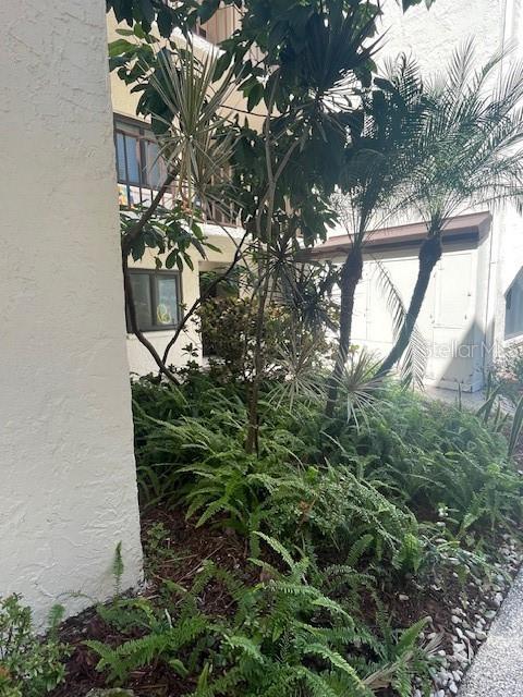 Image 7 of 24 For 2209 Belleair Road C4