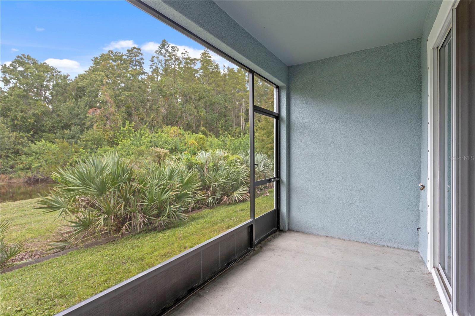 Listing photo id 25 for 17812 Althea Blue Place