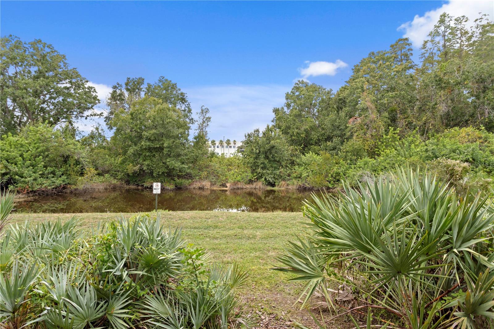 Listing photo id 26 for 17812 Althea Blue Place