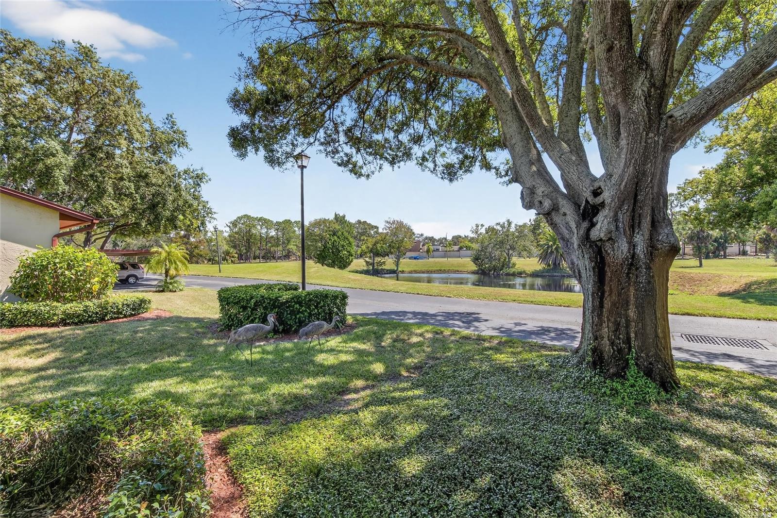 Image 5 of 54 For 7321 Greystone Drive 0