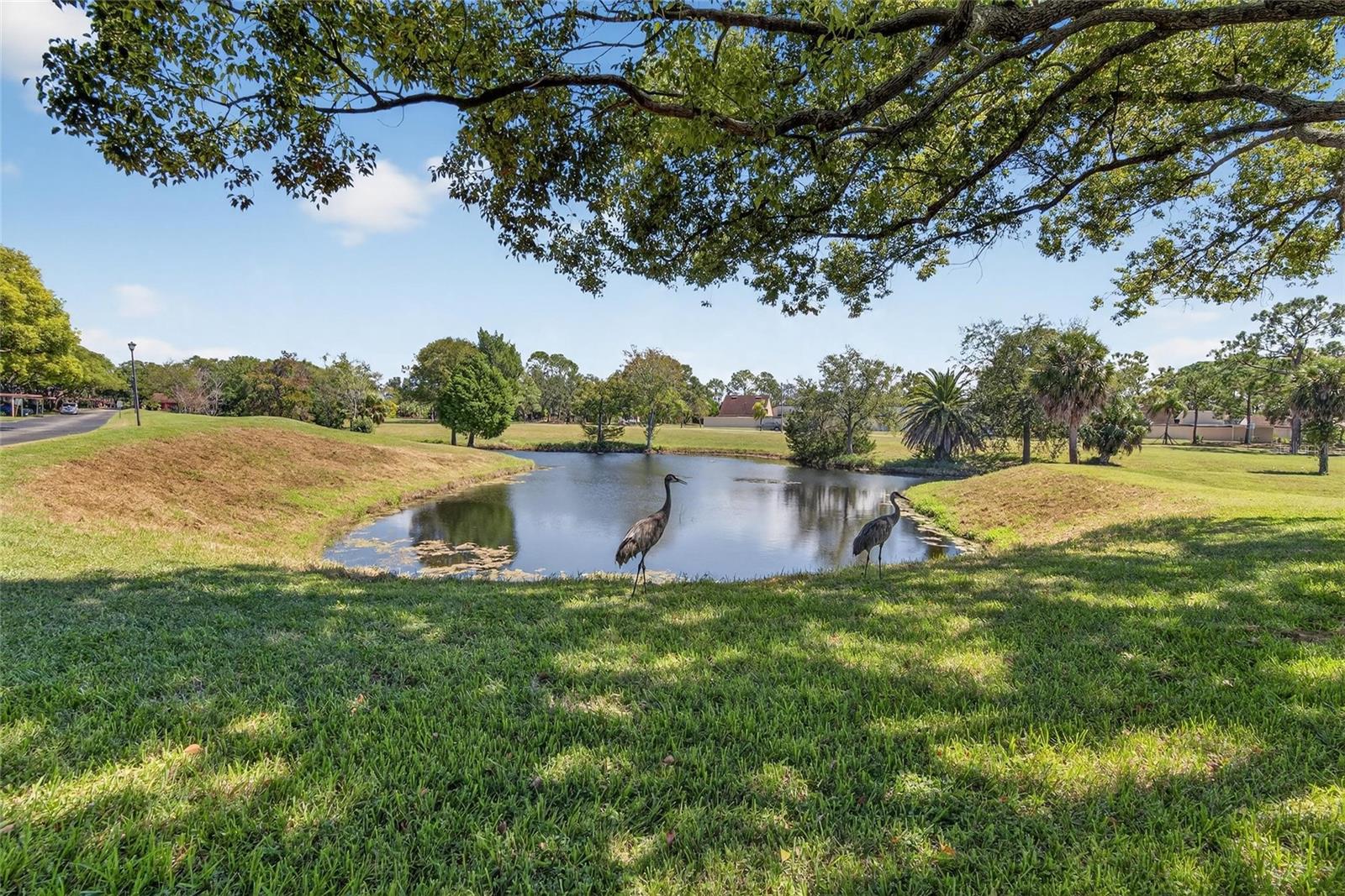 Image 7 of 54 For 7321 Greystone Drive 0