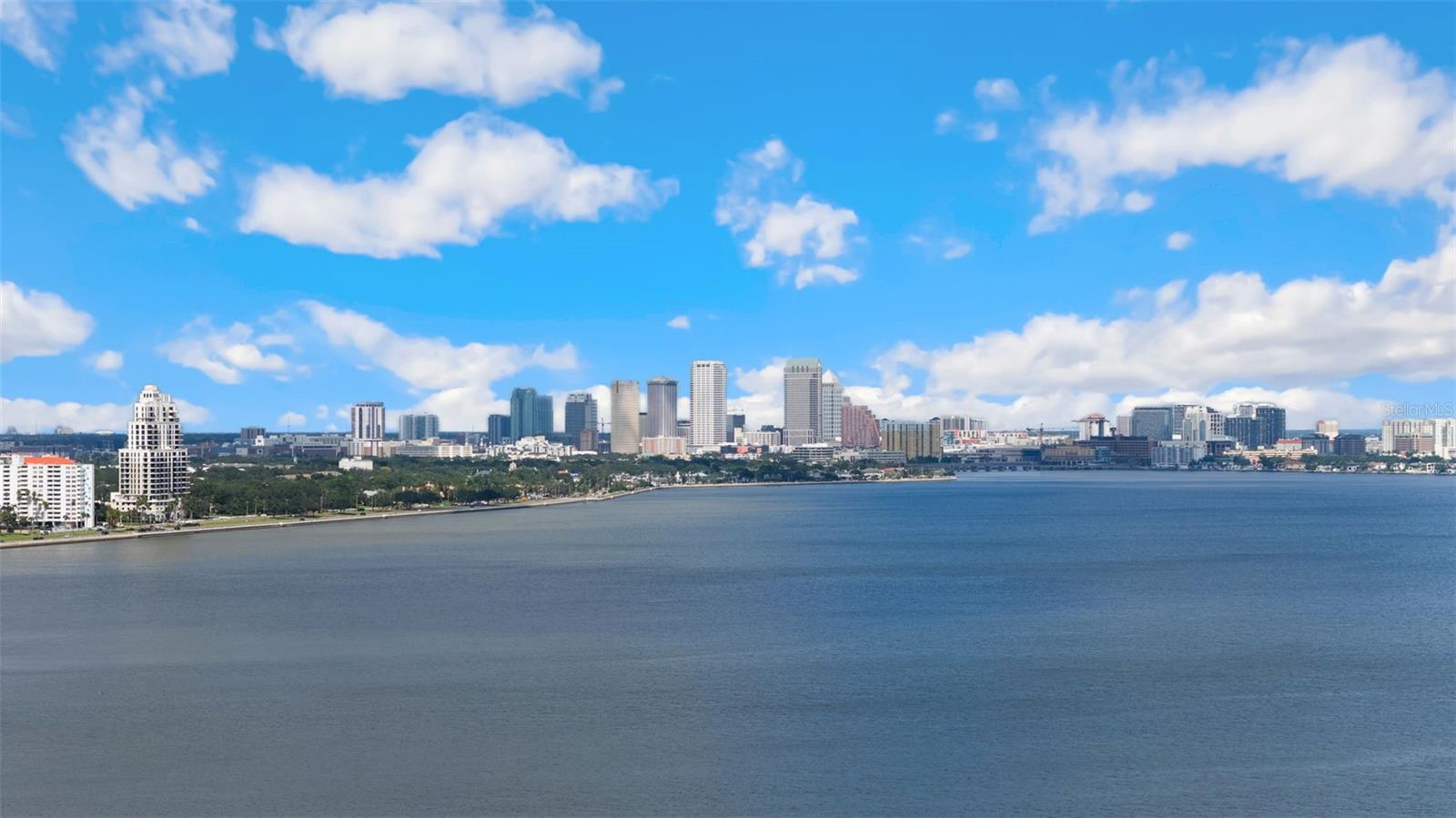 Image 88 of 91 For 3401 Bayshore Boulevard 701