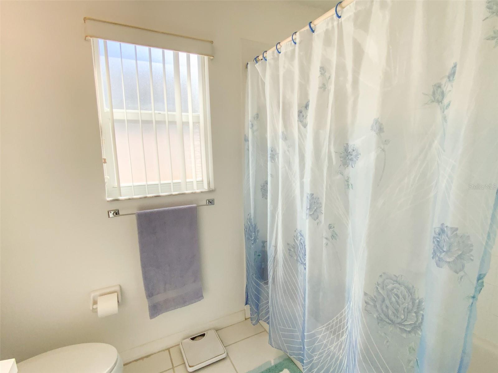 Image 38 of 53 For 479 Briland Street