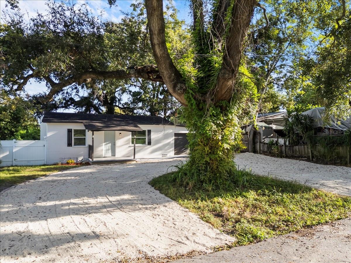Image 4 of 39 For 704 Wilma Street