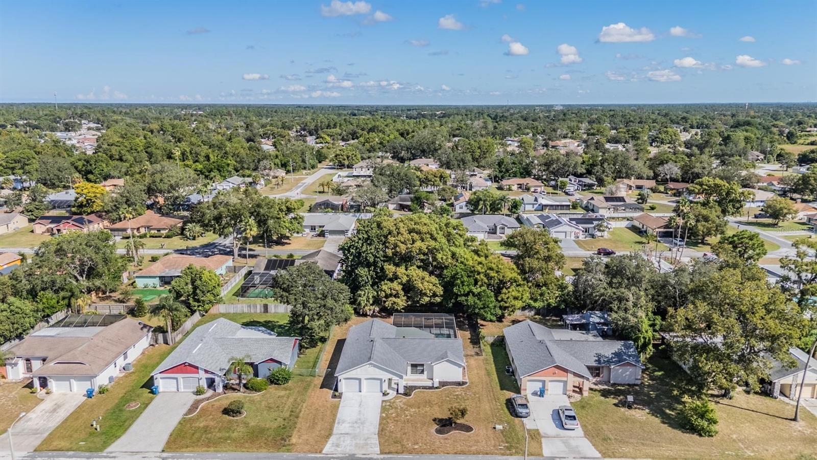 Image 43 of 44 For 8393 Camphor Drive