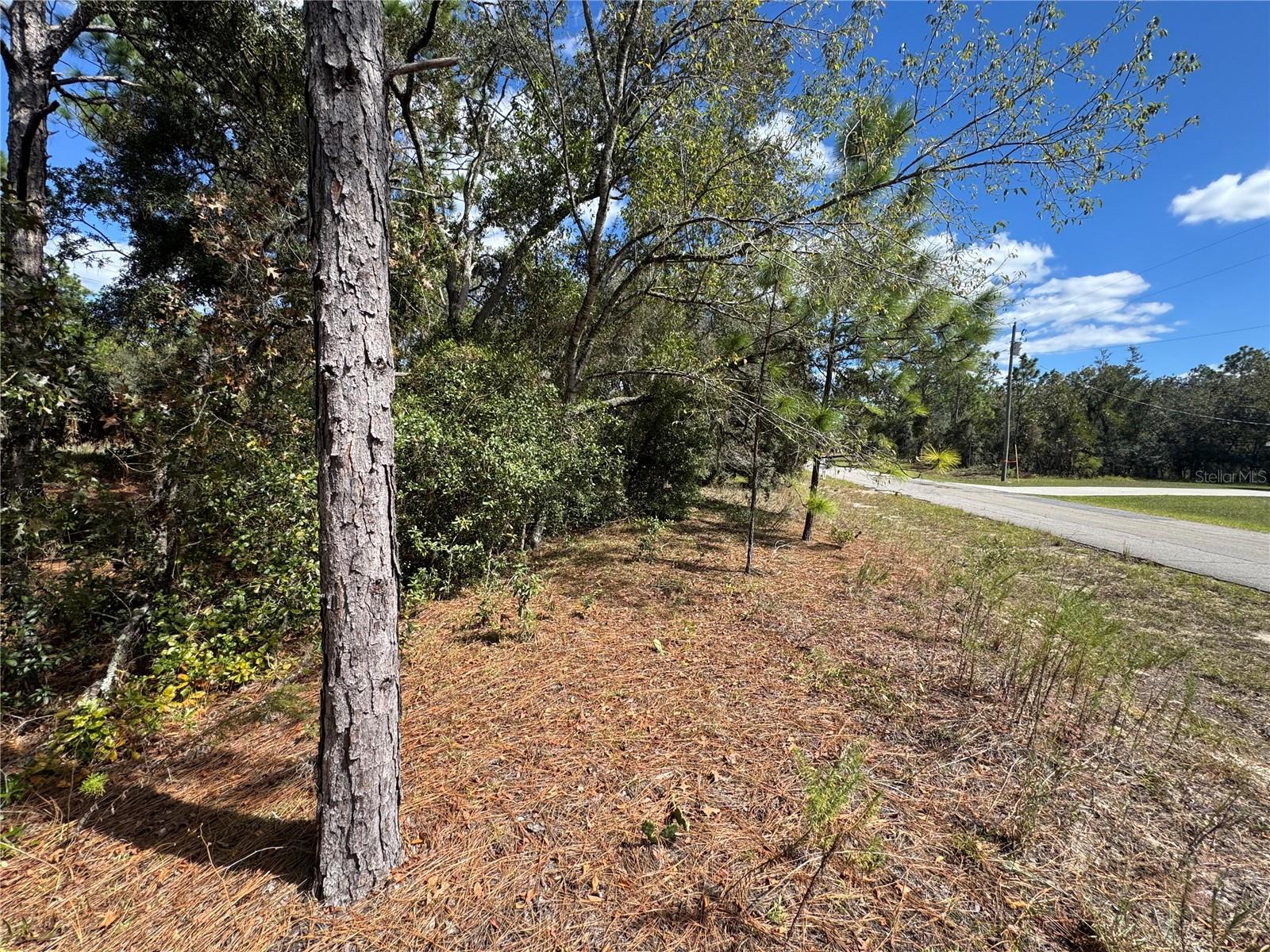 Image 10 of 11 For 3341 Wilhelm Street