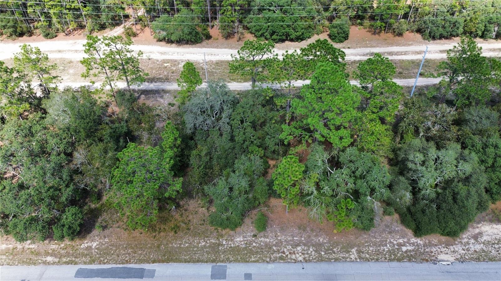 Image 11 of 11 For 3341 Wilhelm Street