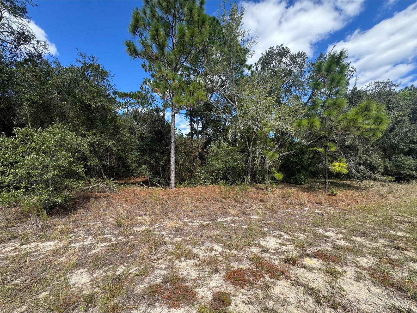 Image 3 of 11 For 3341 Wilhelm Street