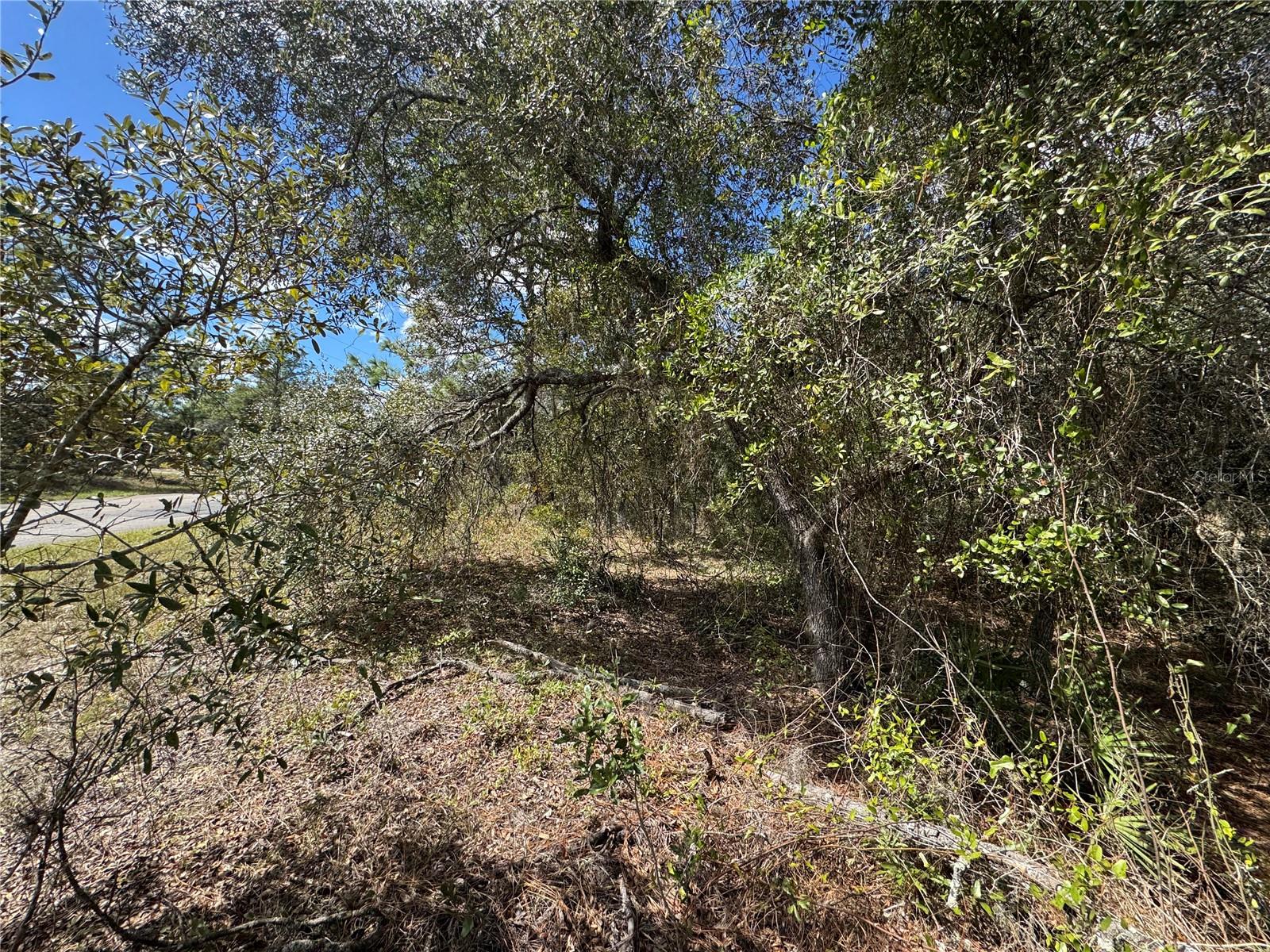 Image 9 of 11 For 3341 Wilhelm Street