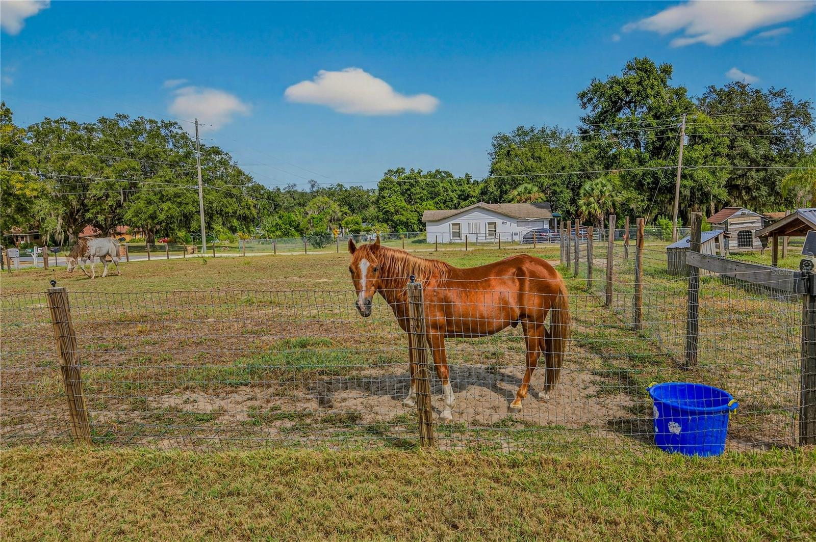 Image 44 of 53 For 5426 Griffin View Drive