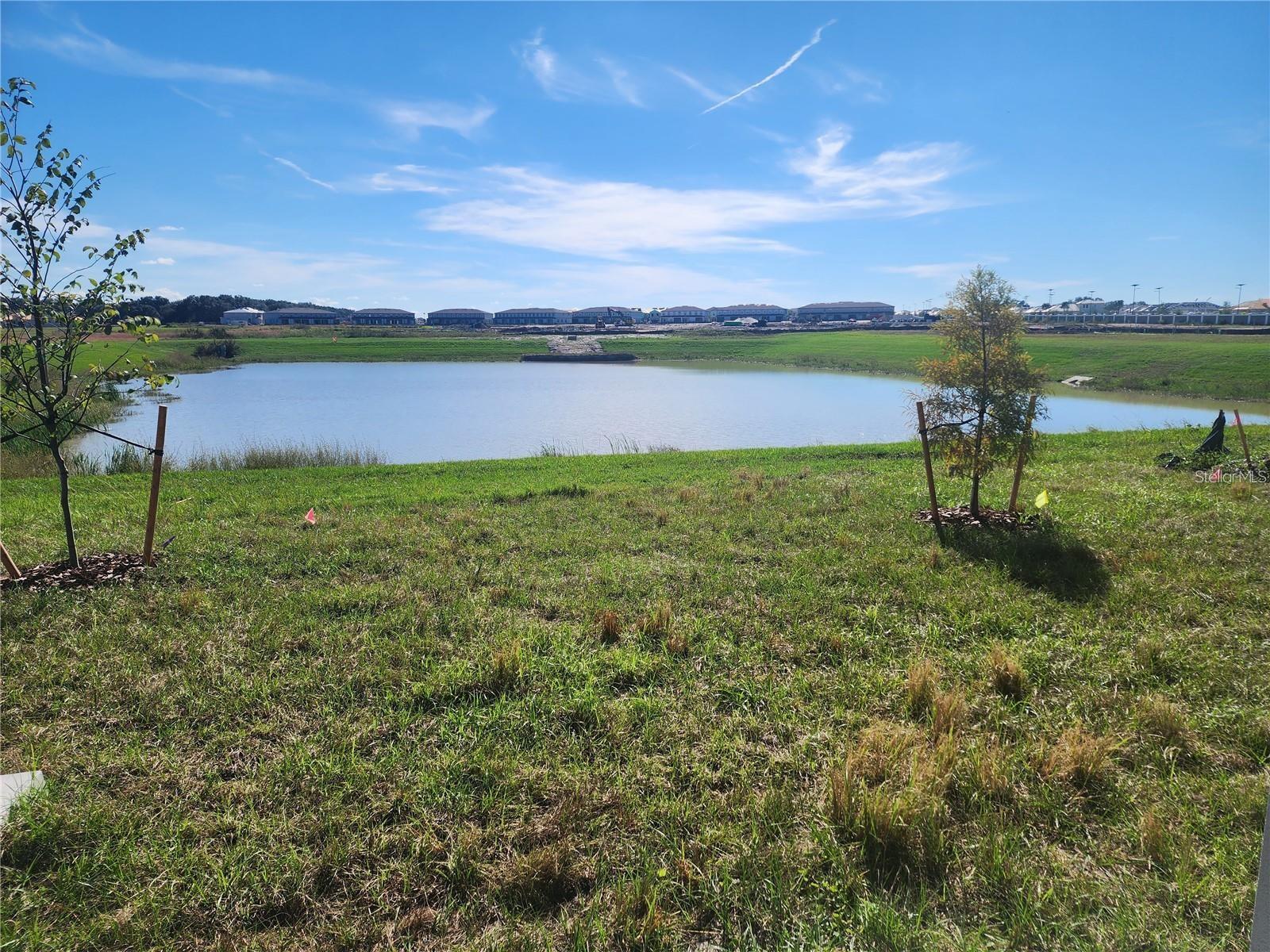 Image 23 of 23 For 32118 Pond Apple Bend