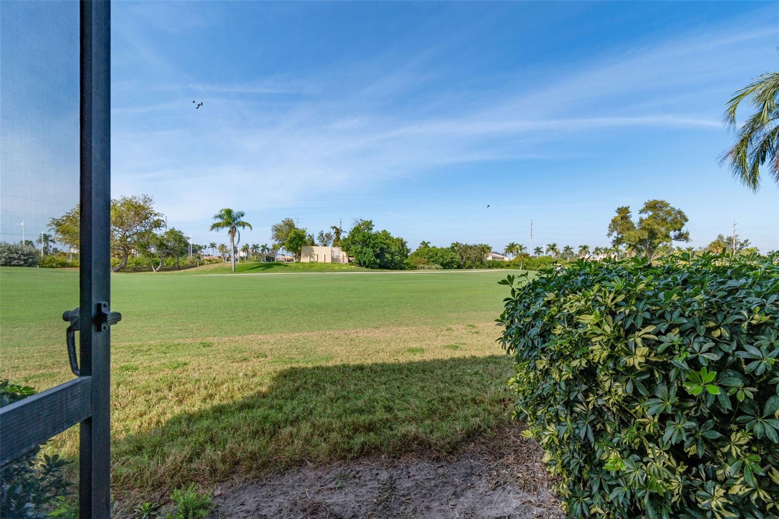 Image 33 of 52 For 6105 Palma Del Mar Boulevard S 120