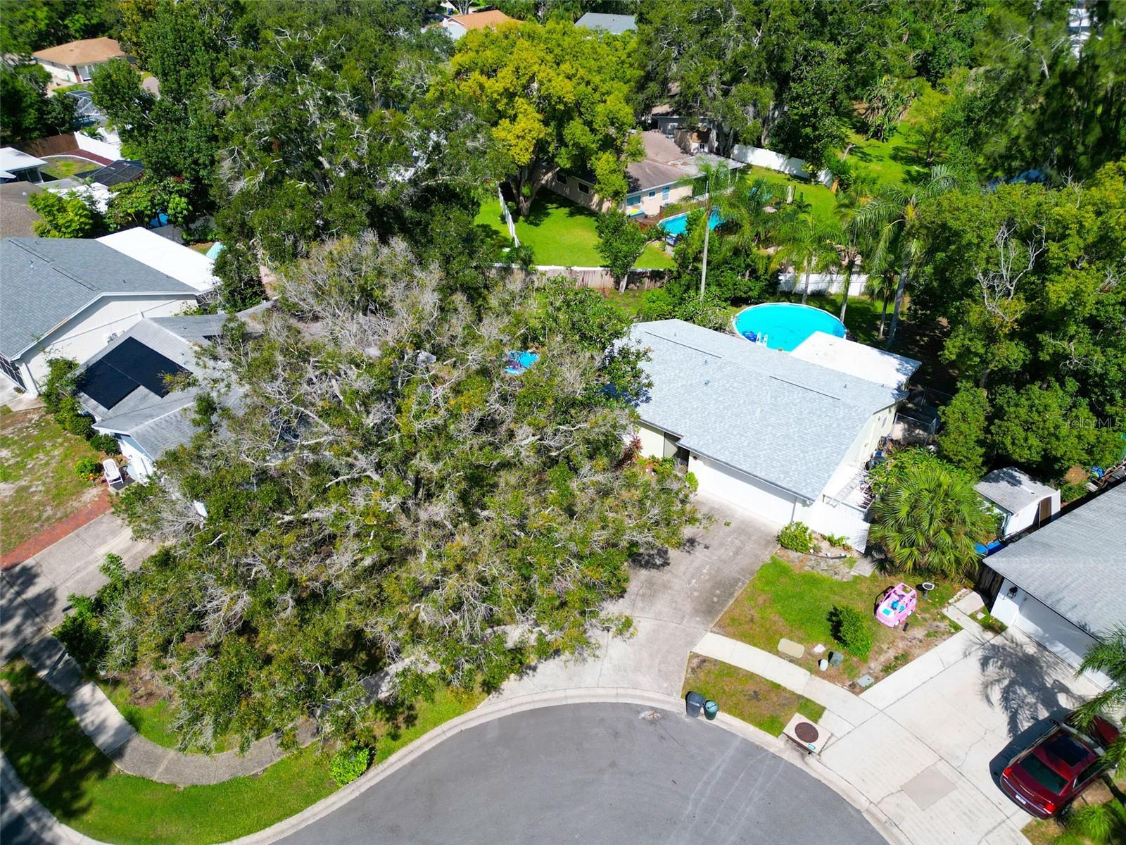 Image 33 of 40 For 2289 Citrus Way