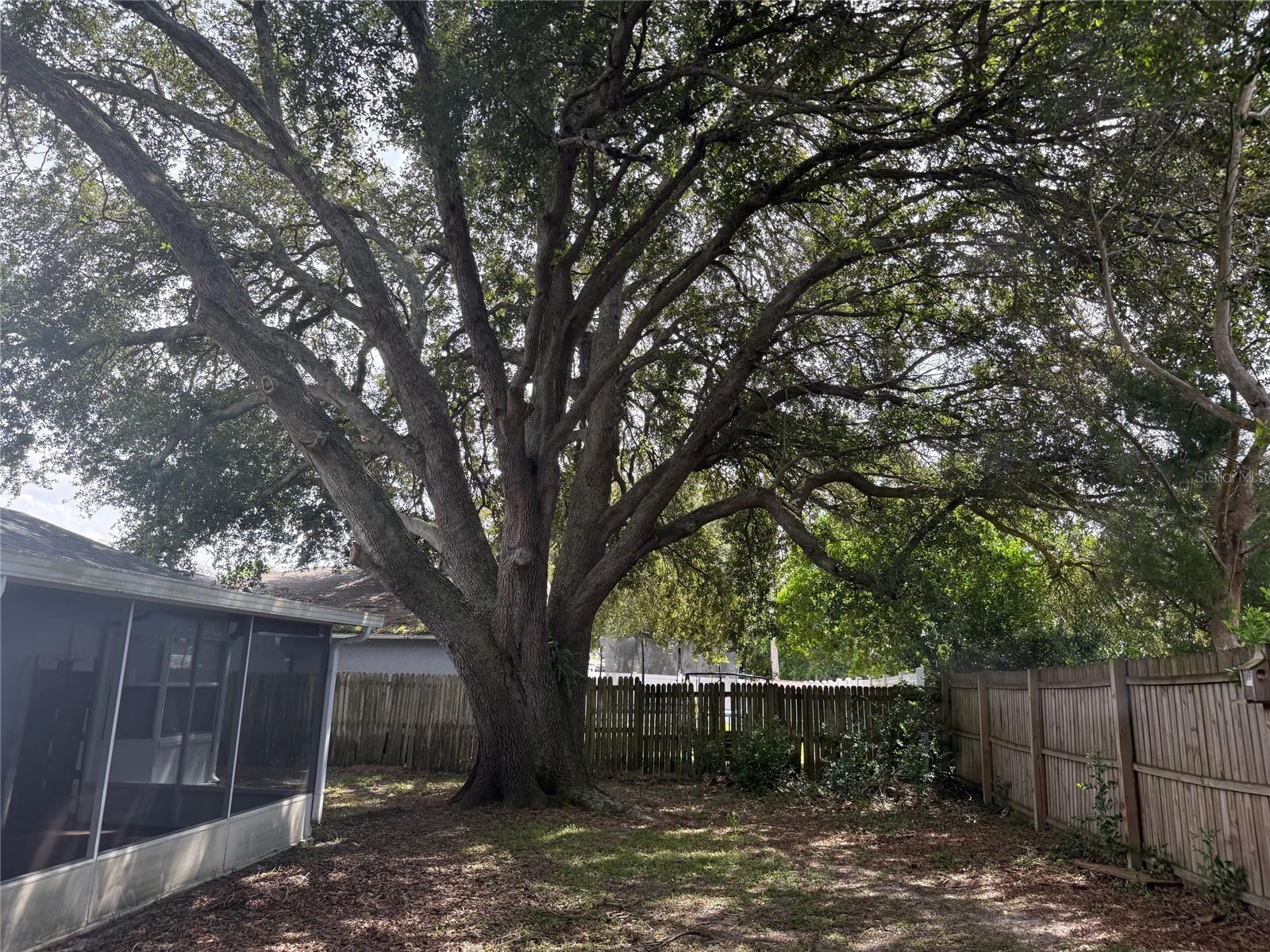 Image 36 of 38 For 10401 Leaning Oak Drive