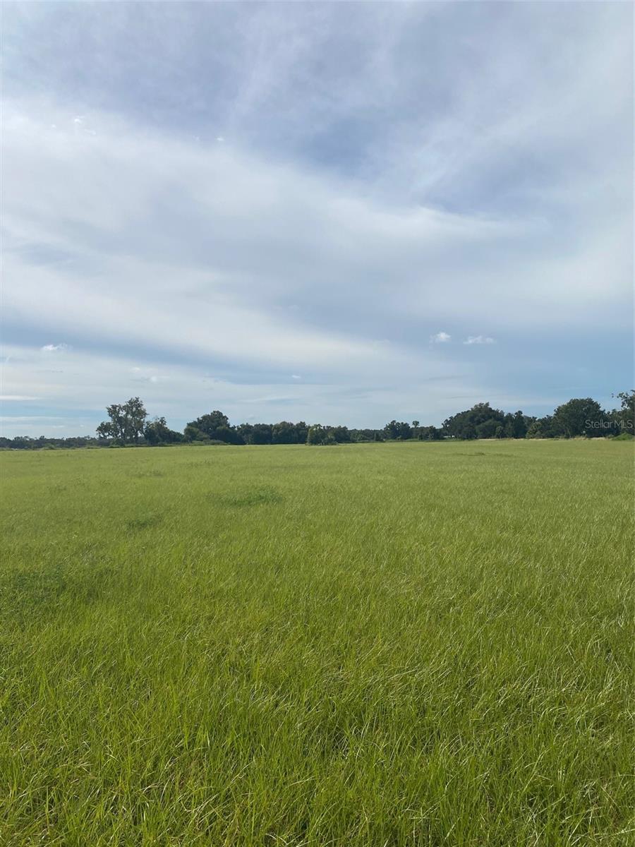 Image 2 of 3 For 2401 Trapnell Road