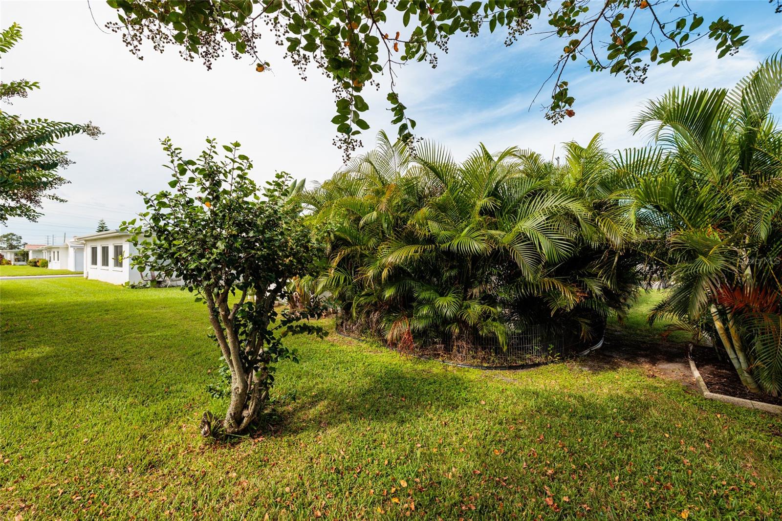 Image 26 of 34 For 9813 37th Street N