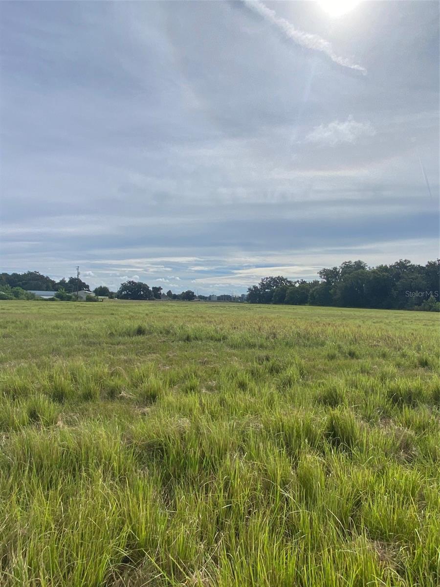 Image 2 of 3 For Medulla Road