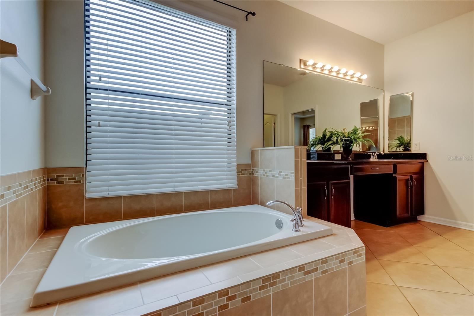 Image 18 of 40 For 12747 Tikal Way