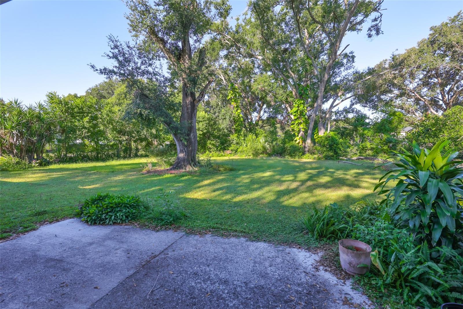 Image 47 of 54 For 306 Hollowtree Drive