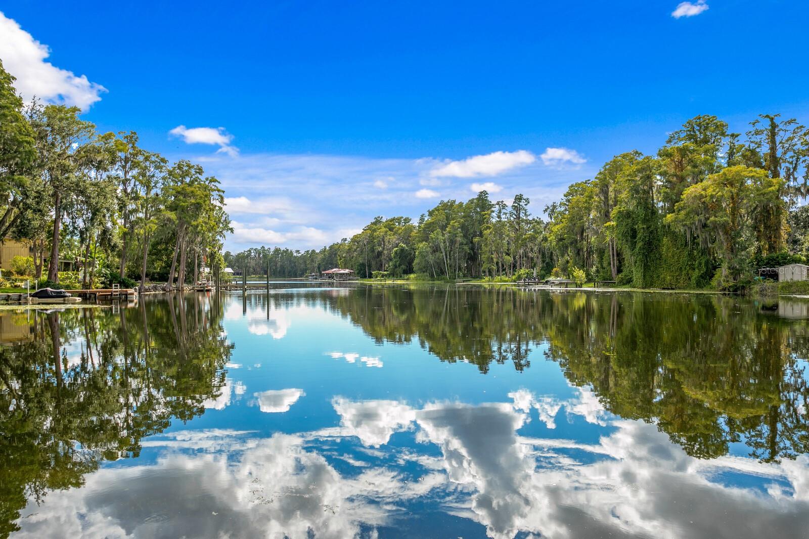Details for 19116 Forrest Drive, ODESSA, FL 33556