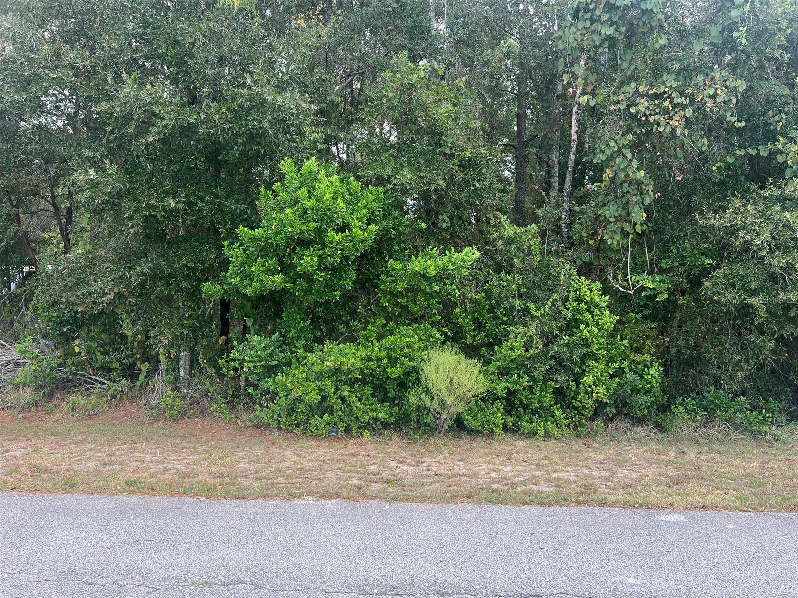 Details for 8014 Simmons Street, BROOKSVILLE, FL 34613