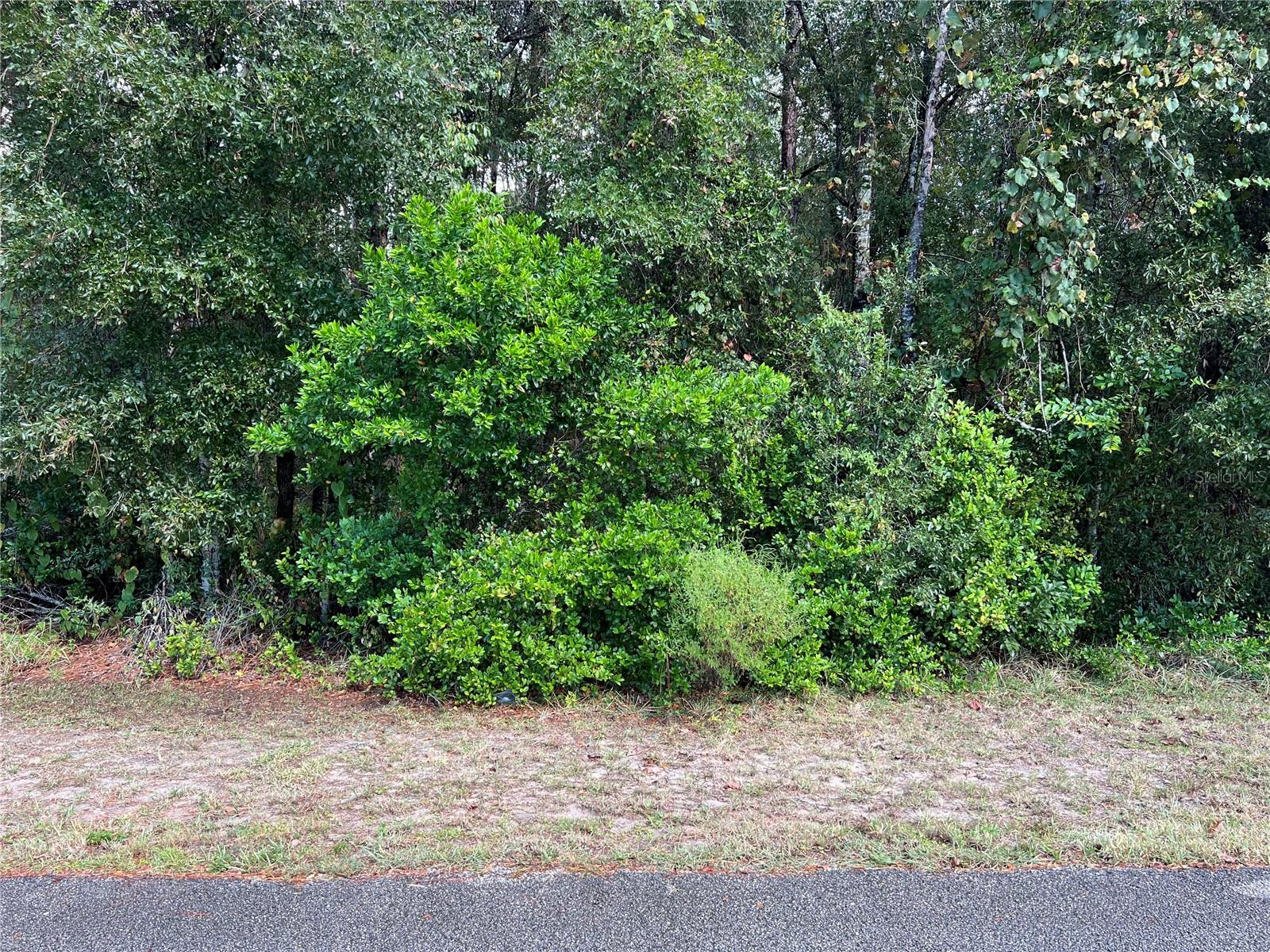 Details for 8026 Simmons Street, BROOKSVILLE, FL 34613