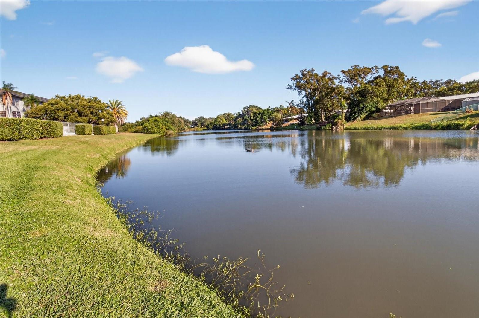 Image 27 of 30 For 1301 Hercules Avenue 22