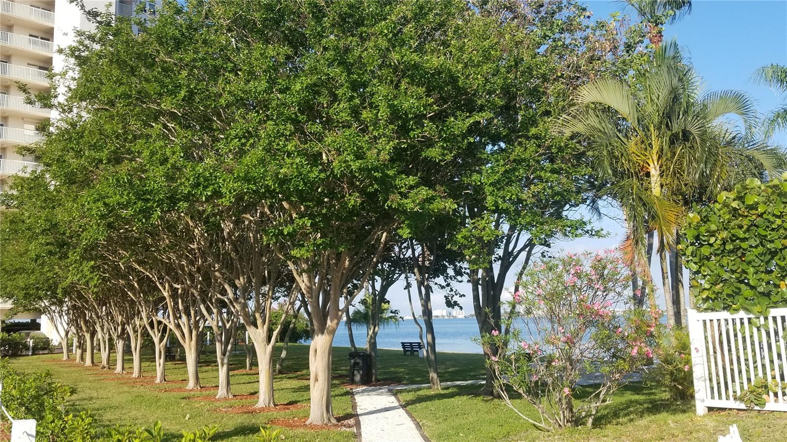 Image 62 of 65 For 6060 Shore Boulevard S 605