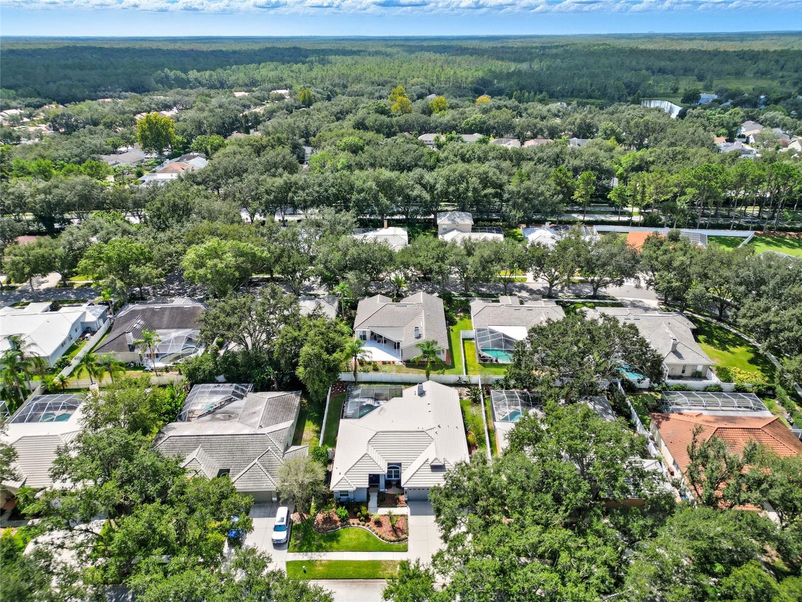 Listing photo id 26 for 9305 Wellington Park Circle