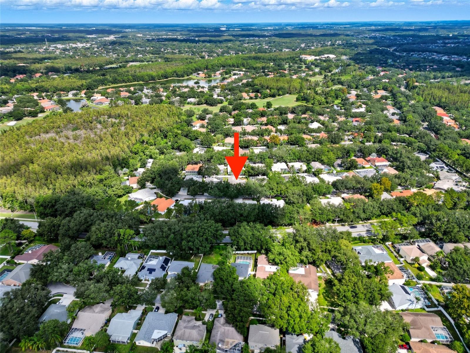 Listing photo id 31 for 9305 Wellington Park Circle