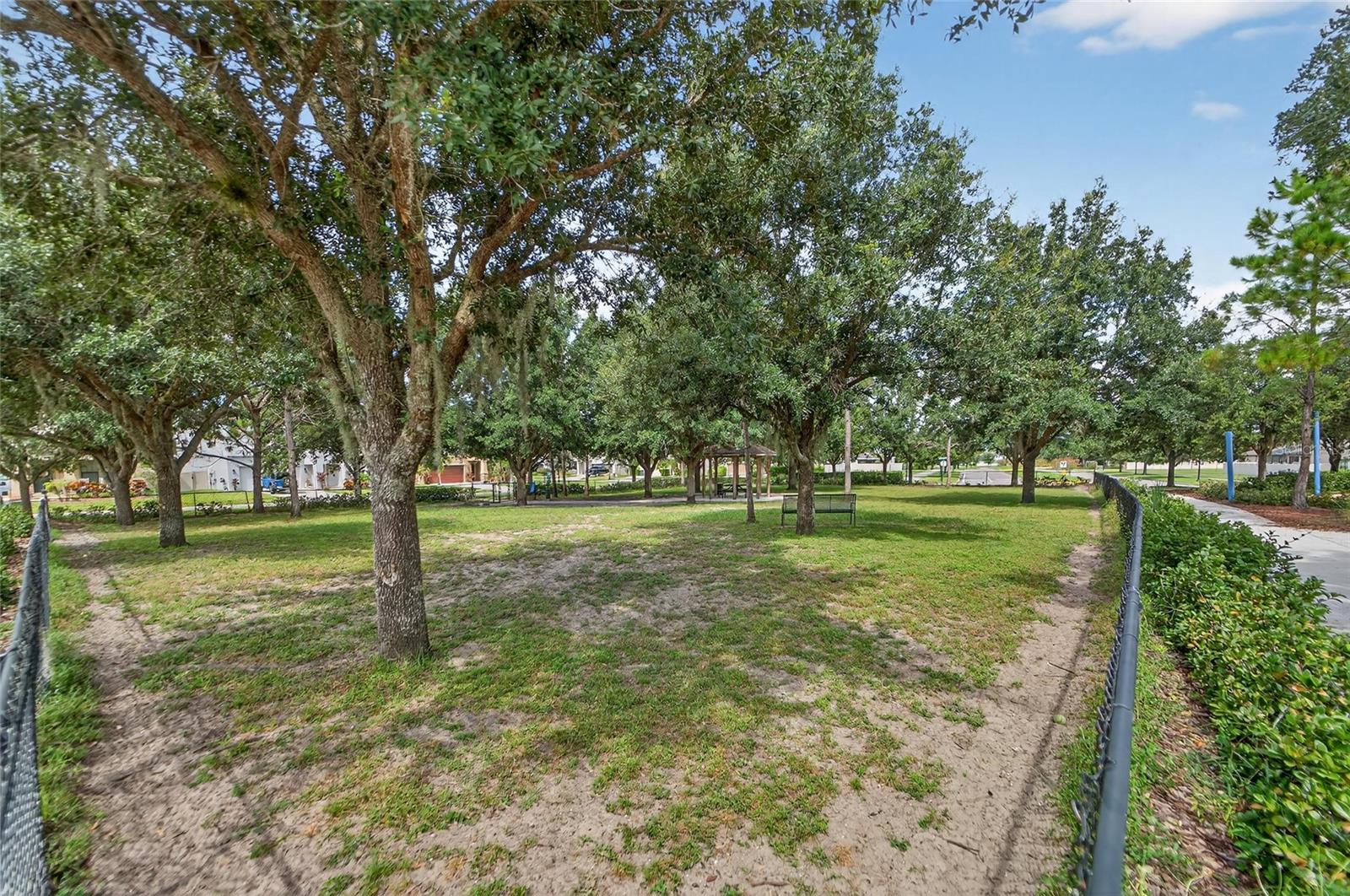 Image 65 of 73 For 8449 Bluevine Sky Drive