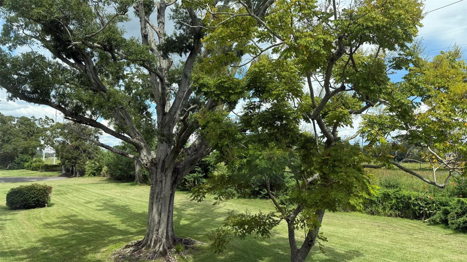 Listing photo id 13 for 2460 Canadian Way 48