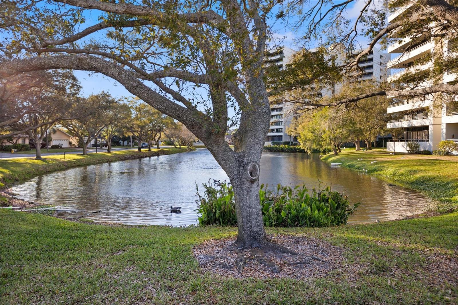 Image 57 of 84 For 5950 Pelican Bay Plaza S 405